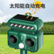 and Solar mouse bird repellent powered ultrasonic