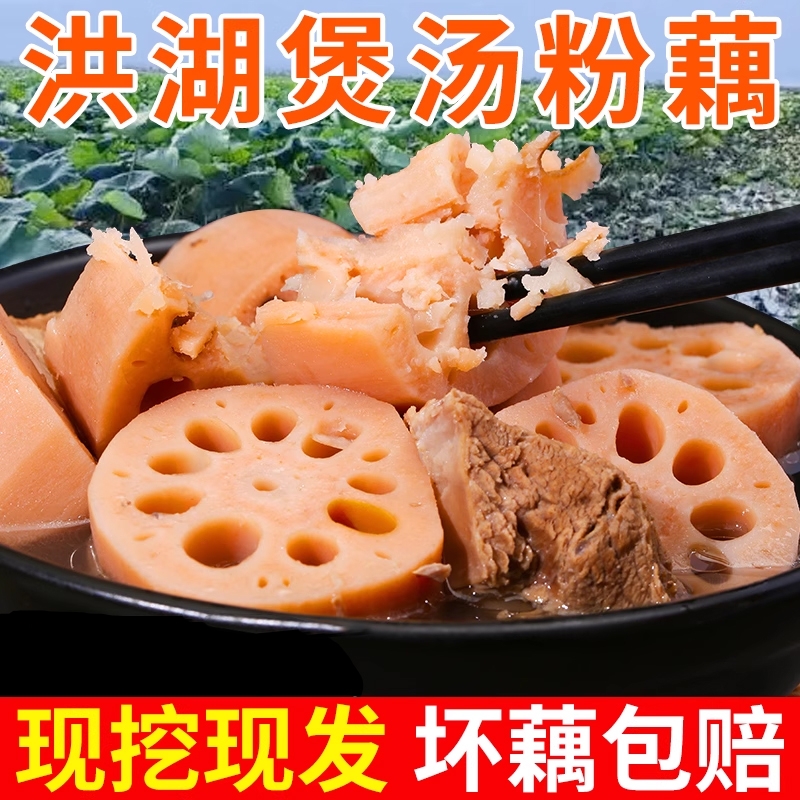 湖北洪湖现挖现发煲汤粉藕莲藕