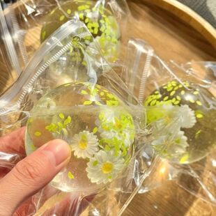 1PC Daisy Designed Maltose Coconut Oil Squishy Soft Slow Reb