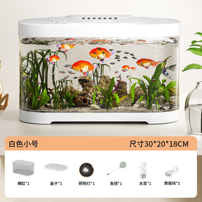新款透明鱼缸小型景观全套生态透明家用客厅鱼缸观赏