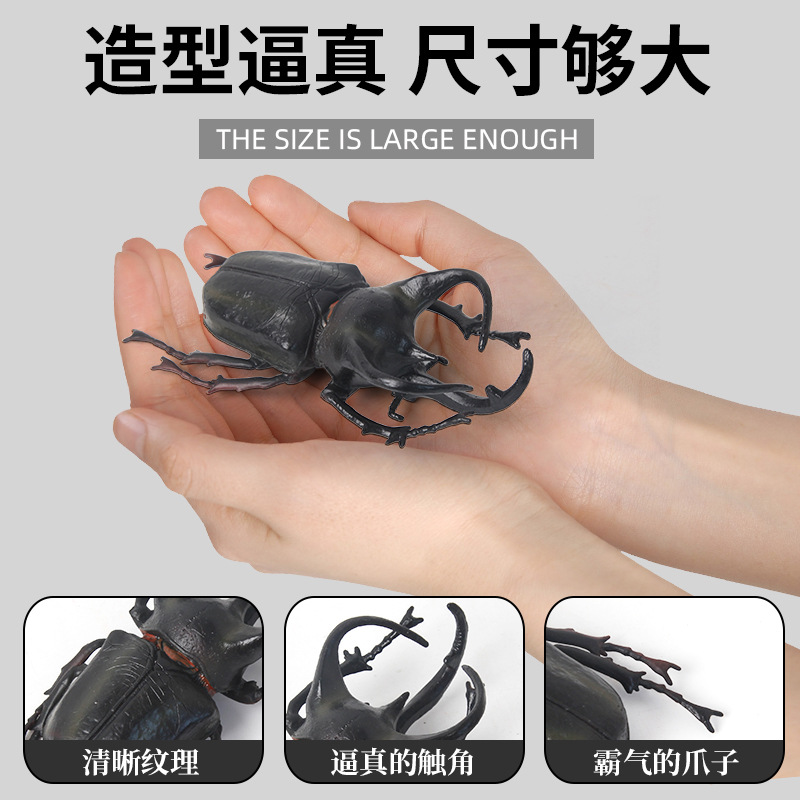 新款虫子仿真玩具儿童科教仿真动物模型整蛊搞笑早教认知益智玩具