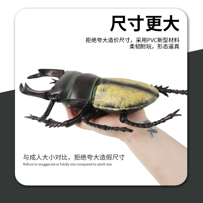 跨境超大号甲虫大型仿真昆虫模型摆件小学生儿童科教玩具