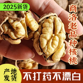 秦岭野生核桃2025新货商洛厚皮核桃农家土特产原味山核桃大果整箱