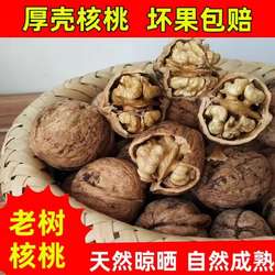 商洛野生核桃原味厚皮老品种笨核桃原味山核桃孕妇小孩坚果零食