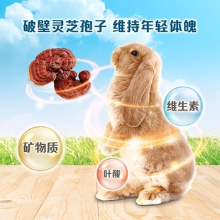 Dr.Bunny兔博士科研营养老年兔粮配方延缓衰老兔子饲料2.5kg