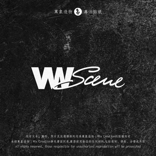 签名反光镂空防水装 饰创意车贴纸 适用大众