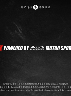 MC 适用奥迪 audisport A3A4A5A6 RS3RS4 个性前后挡风车贴