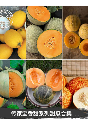 传家宝甜瓜种子合集迷你小跳跳虎侏儒夏朗德多汁高产春秋阳台水果