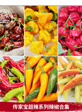 传家宝辣椒种子合集超级特辣哈瓦那魔鬼椒浓郁高产阳台盆栽可留种