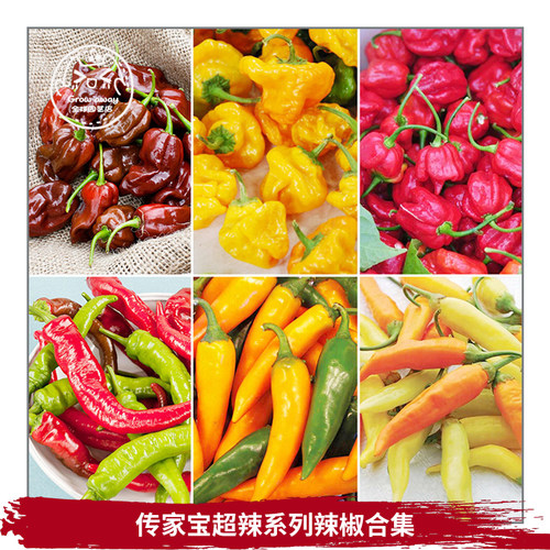 传家宝魔鬼变态特辣辣椒种子