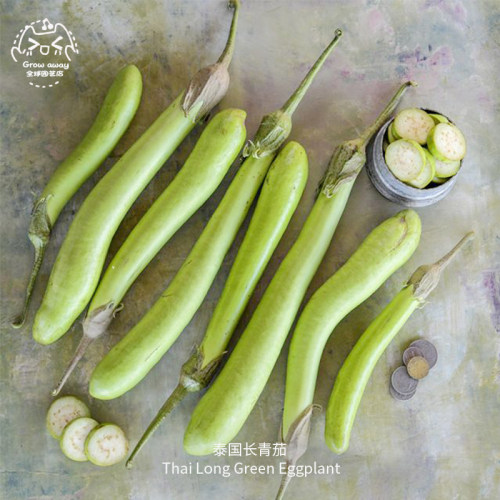 泰国长茄子种子口感温和甜美细腻