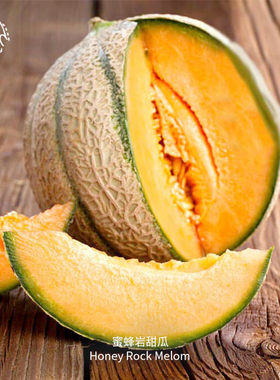 蜜蜂岩甜瓜种子蜂蜜味早熟脆甜抗性强ASS获奖品种传家宝盆栽水果