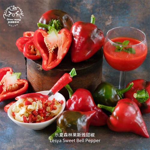 乐夏森林莱斯雅甜椒种子多汁肉厚