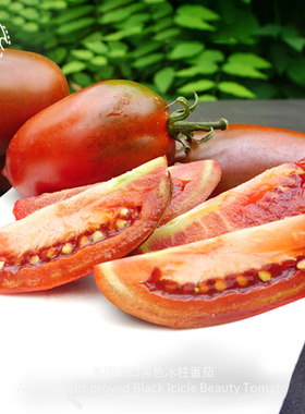 黑色冰柱番茄种子传家宝浓郁多肉汁老品种蔬菜家庭阳台盆栽可留种