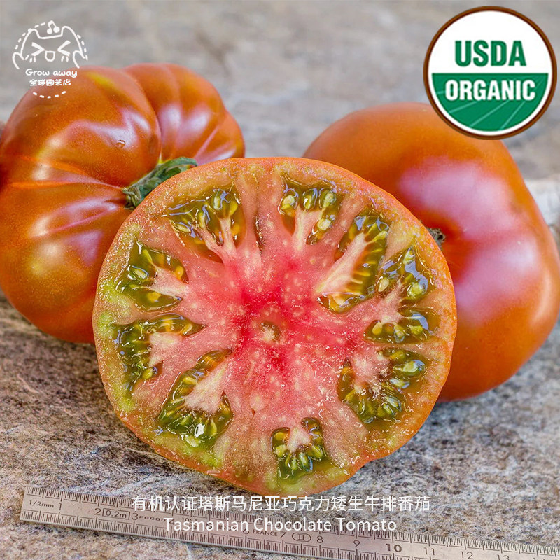 有机认证塔斯马尼亚巧克力矮生牛排番茄种子多汁浓郁进口传家宝