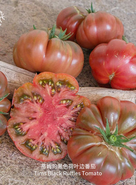 蒂姆黑色荷叶边牛排番茄种子肉质浓密丰富浓郁多汁传家宝春秋盆栽