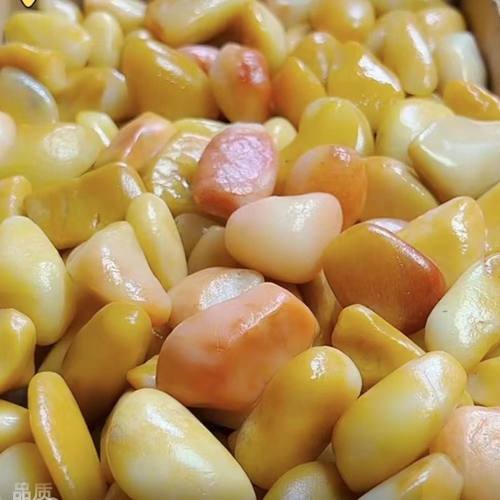 新疆地表原石籽料雕刻料把件料鱼缸石黄蜡石晒龟