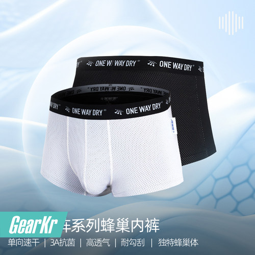 单导矩阵蜂巢内裤速干透气