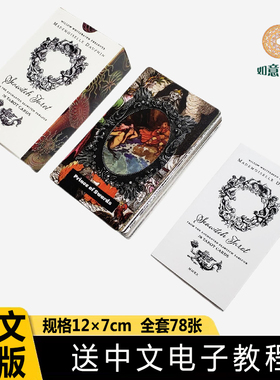 正版12×7海妖塔牌罗Seawitch tarot塔luo牌全套韦维特卡罗牌新手