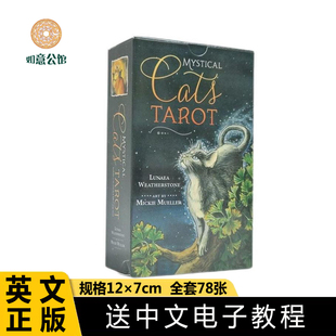 cat tarot动物塔luo牌韦维特卡牌 12×7神秘猫塔牌罗mystical 正版