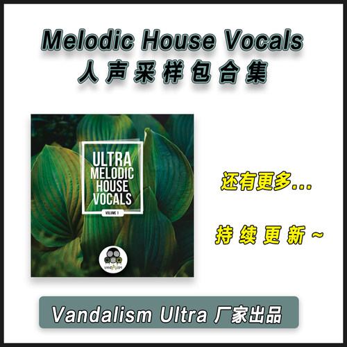 Vandalism Ultra Melodic House Vocals 人声采样包编曲音源素材