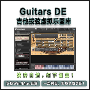 Guitars 超细致吉他拨弦虚拟乐器库康泰克音源 Hein Chris