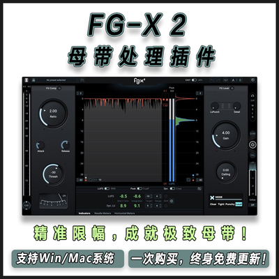 Slate Digital FG-X 2 板岩母带处理响度提升混音制作插件