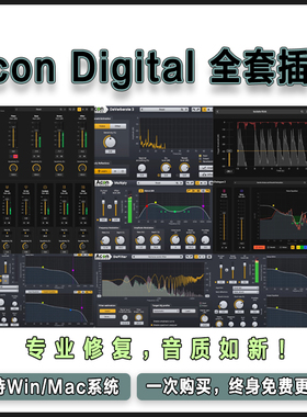 Acon Digital全套插件人声伴奏分离Remix/Extract Dialogue 2降噪