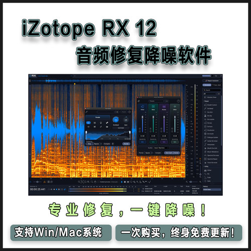 iZotope RX12 RX11 RX10 RX9人声伴奏分离音频修复降噪混音软插件