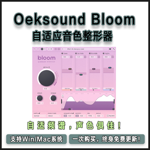 正版 Oeksound Bloom 自适应音色整形器平衡清晰温暖声像混音插件