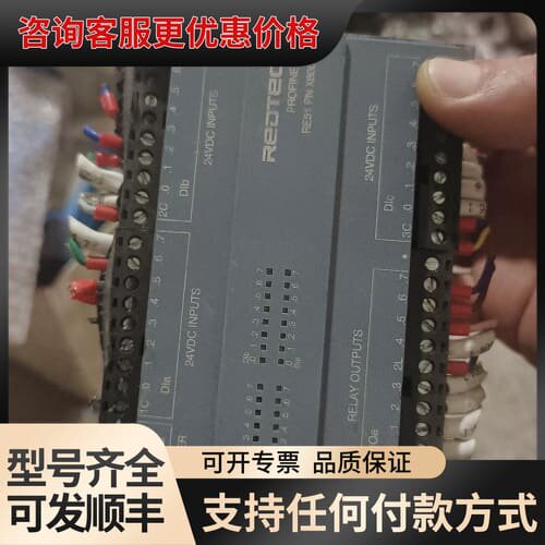议价瑞德泰科PLC模块RE51PNX8000R ，实物可维修