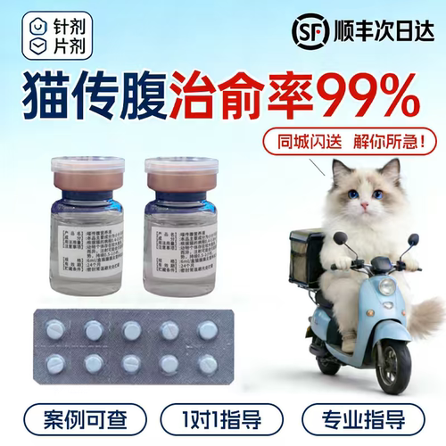 喵咪传腹针剂片剂猫咪口服片剂喵传腹油针剂营养液