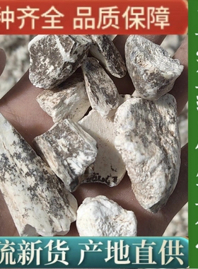 100%带斑龙骨中药材正宗野生龙骨龙齿水洗去泥土龙骨生龙骨白龙骨