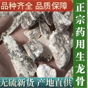 100%带斑龙骨中药材正宗野生龙骨龙齿水洗去泥土龙骨生龙骨白龙骨
