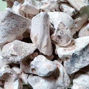 煅龙骨正宗野生中药材龙骨高温煅制龙骨