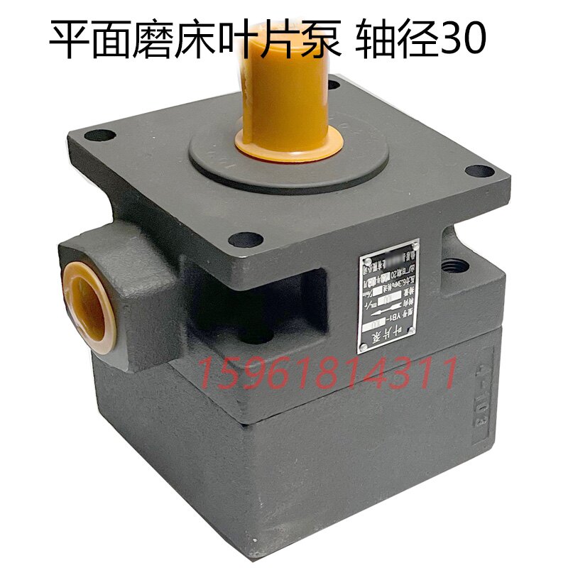 7130h平面磨床油泵平面磨床叶片泵yb1-100杭机桂北川磨原厂配件件