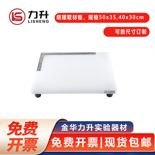 病理组织切片取材板 PE塑料板 适用取材刀柄配羽毛R35徕卡819刀片