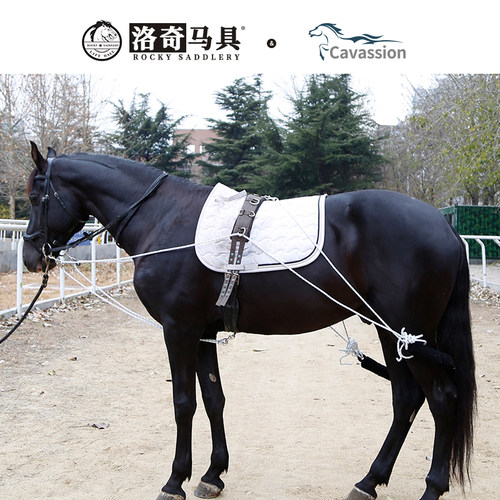 洛奇平衡调教绳 平衡调教索 锻炼马匹平衡和后肢力量 8218020