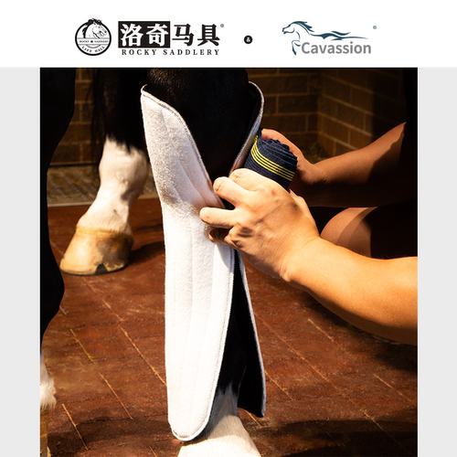 马腿垫 马脚垫 马绑腿  防涨筋腿垫 洛奇马具8216010