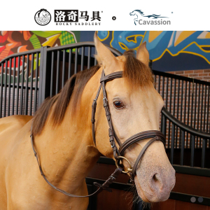 cavassion马术牛皮水勒缰
