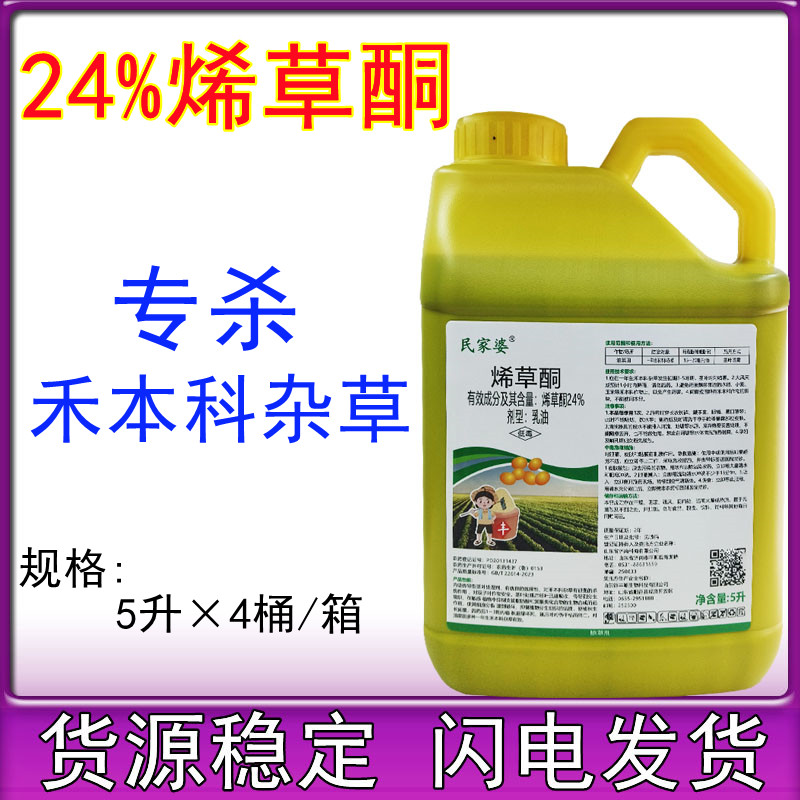 24%烯草酮花生大豆油菜苗后专用除草剂禾本科杂草除草剂尖叶杂草