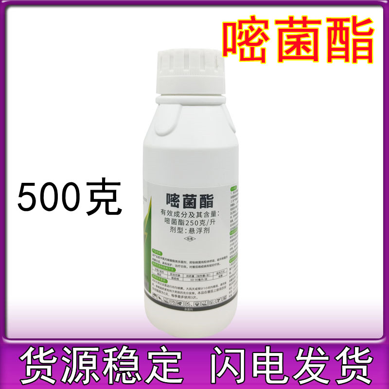 25%嘧菌酯 嘧菌脂大姜炭疽病葡萄黑痘病白粉病锈病杀菌剂500g
