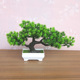 小清新绿植盆栽桌面摆设仿真植物迎客松小盆景装 饰室内客厅假花草