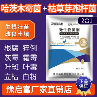 哈茨木霉菌微生物菌剂土传病害根腐草莓葡萄蔬菜枯草芽孢杆菌
