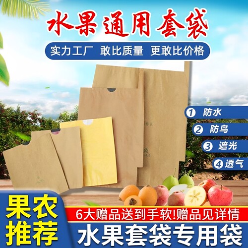 水果套袋通用枇杷梨子桃子专用袋