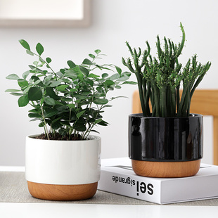 北欧风陶瓷花盆托盘套装 白色花盆木纹底盘防渗水现代简约多肉小盆