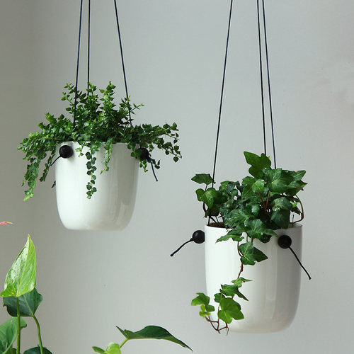 Diy木花盆质量怎么样 Diy木花盆口碑怎么样 小麦优选