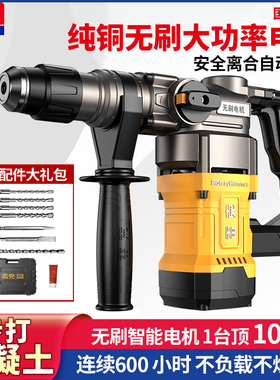 雷克交流无刷电锤电镐冲击钻充电钻大功率工业多功能搞锤电动工具