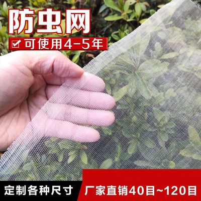 防虫网家用窗纱网苍蝇农用大棚