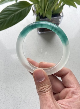 天然独龙玉玉镯半山水蓝花正圈平安镯高冰翡翠色种水手镯真玉正品